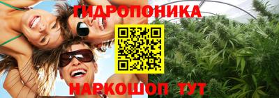 ALPHA PVP Заводоуковск