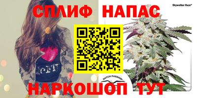 a pvp Жуковский