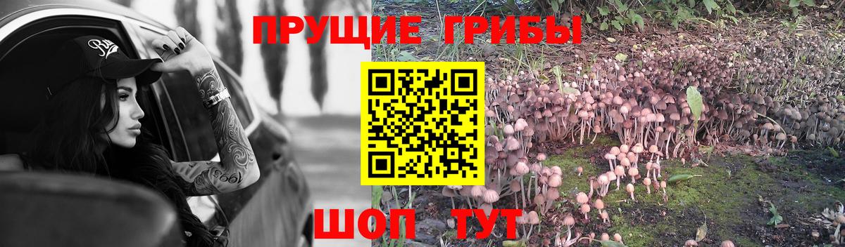 Галлюциногенные грибы Magic Shrooms Чапаевск