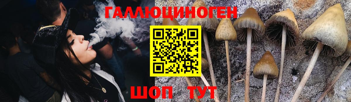 Чапаевск  Псилоцибиновые грибы MAGIC MUSHROOMS  Вход с VPN 